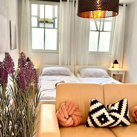 דירה Neu Rhein-studio Mit Privater Terrasse & Parkplatz Bei Bonn